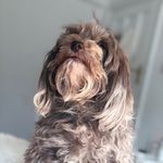 Michael - @michaelmcgivney19 - Instagram