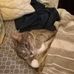 Michael McCoy - Facebook