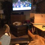 Michael McLamb - @mclamb703 - Instagram