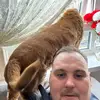 Michael Mclean Mick - @michael.mclean.mi - TikTok