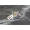 michael.h.mclees - @michael.h.mclees - TikTok