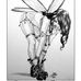 Michael McLeish - Facebook