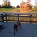 Michael Mclendon - Facebook