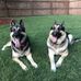 Michael McQuaig - Facebook