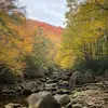 Michael Meadows - @meadows381 - TikTok