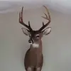 Michael Mears336 - @michaelmears336 - TikTok