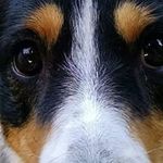 Michael Meckley - @michaelmeckley - Instagram