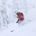 Michael Meder - @meder_michael - Instagram