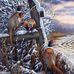 Michael Medvec Jr. - Facebook