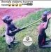 Michael Malick - Facebook