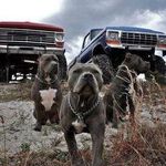 Michael M Meidinger - @michaelm.meidinger - Instagram