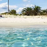 Michael Meier - @michelangelo_1953 - Instagram
