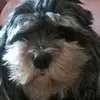 Michael Meissner - @michaelmeissner2 - TikTok