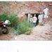 Michael Meives - Facebook