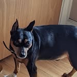 Michael melchert - @melchert_michael - Instagram