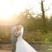 Michael Melchiorre - Facebook