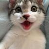 Michael Melgar Gonza - @michael.370 - TikTok