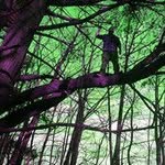 Michael Melici - @michaelfnmelici - Instagram