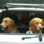 Michaelmellano_miki - @michaelmellano.miki - Instagram