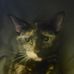 Michael Mellen - Facebook