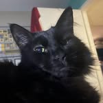 Michael Mellett - @1205kmp - Instagram