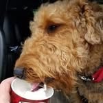 Michael Melnyk - @mjmelnyk3419 - Instagram