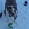 michaelmelnyk39 - @michaelmelnyk39 - TikTok