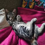 Michael Melone - @meschel76 - Instagram