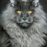 Mike mendelson - @michaelmendelson7 - Instagram