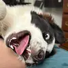michaelmendenhall - @michael.mendenhal12 - TikTok