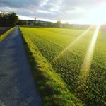 Michael Mensch - @miema1209 - Instagram