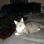 Michael Merck - @michael.merck.94 - Instagram