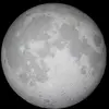 user213667545125 - @michael.merlin1 - TikTok