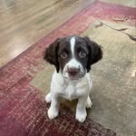 Michael Mershon - @mmershon1 - Instagram