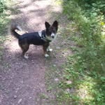 Michael Mertens - @michael.mertens.9279 - Instagram