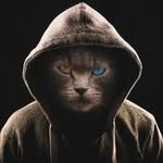 Jonas michael mertz - @jonas_mertz17 - Instagram
