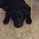 Michael Mertz - @mjmertz08 - Instagram
