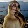 michael - @michael.mesaros - TikTok