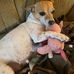 Michael Messinger - Facebook