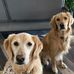 MikeandDeanne Messinger - Facebook