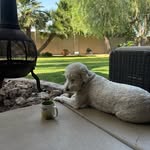 Michael Messner - @morochomike - Instagram
