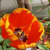 Michael Metayer - @michael.metayer4 - TikTok