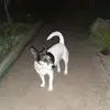 Michael Meyer - @michael.meyer7 - TikTok