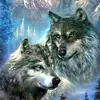 michaelmiddaugh - @shadowwolf96962 - TikTok