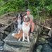 Michael Middlemiss - Facebook