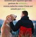 Michael Mier - Facebook