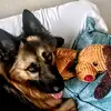 Michael Mike Mikes - @michael.mike.mikes - TikTok