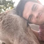 Michael Milanese - @michael_milanese01 - Instagram