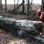 Michael Milde - @mildemich - Instagram