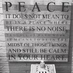 Michael Miles - @michael.miles.528 - Instagram